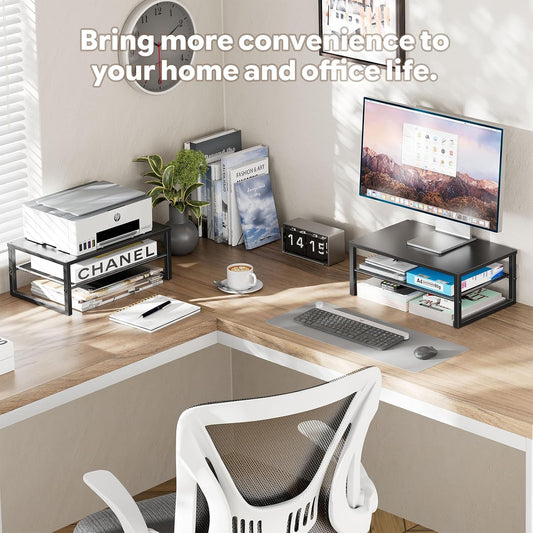 Ekisemio 2-Tier Computer Monitor Stand Riser, Desk Organizer for Monitor, Black