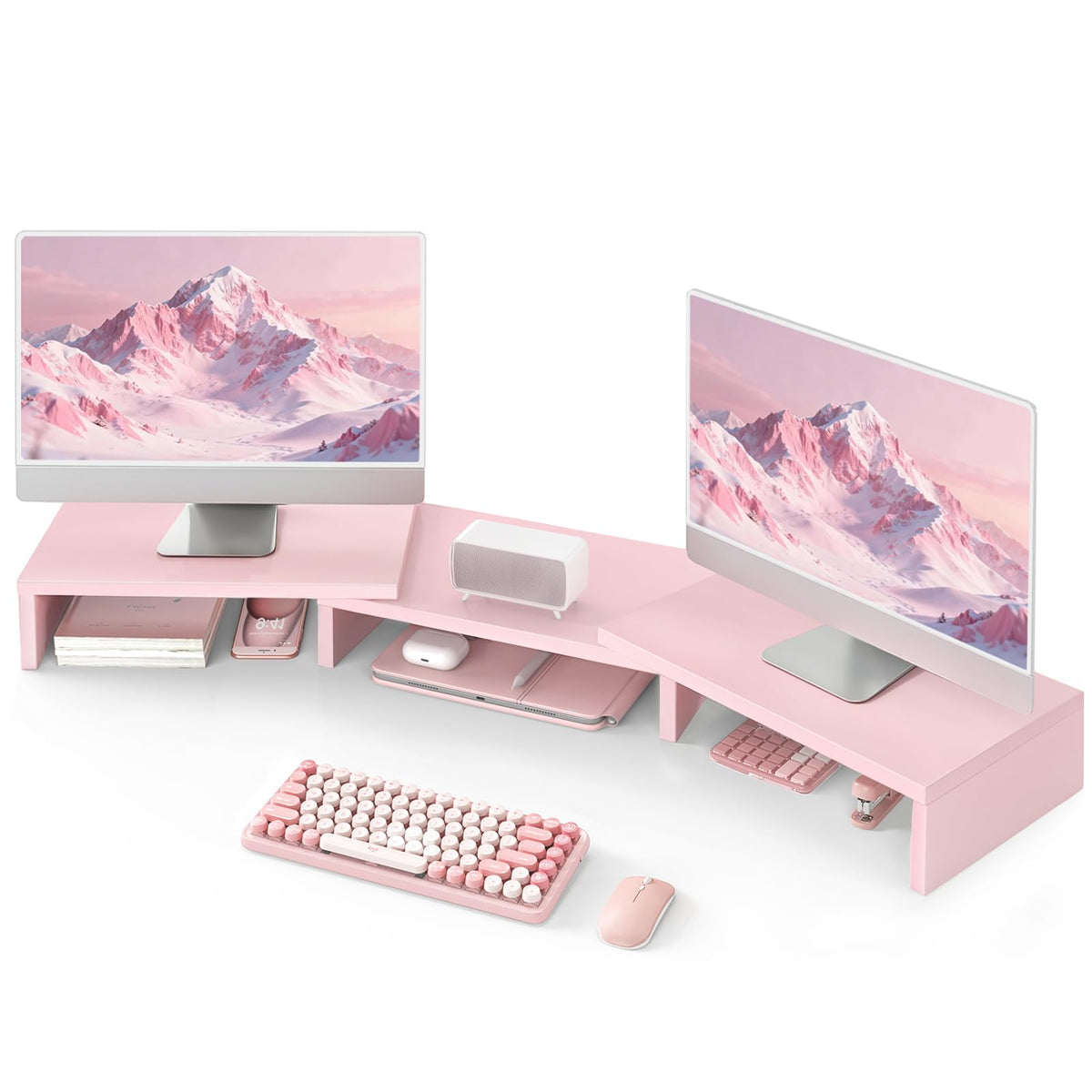 TAVR Monitor Stand Riser, Office Desktop Organizer Stand for 2 Monitors