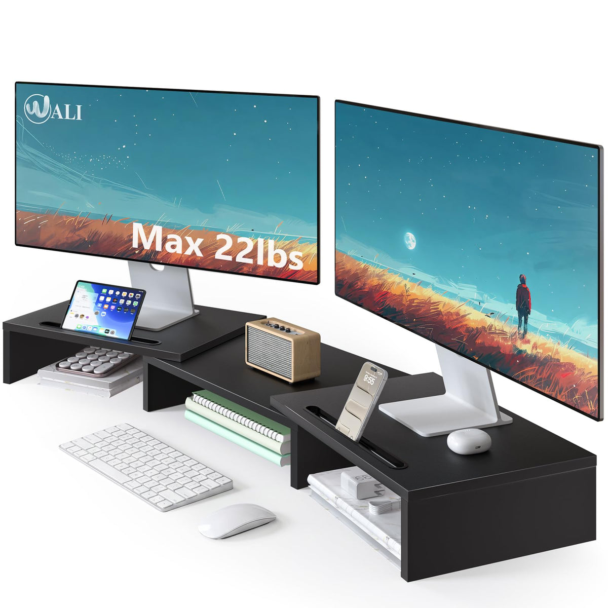 WALI Computer Monitor Stand with Storage and Pen Holder