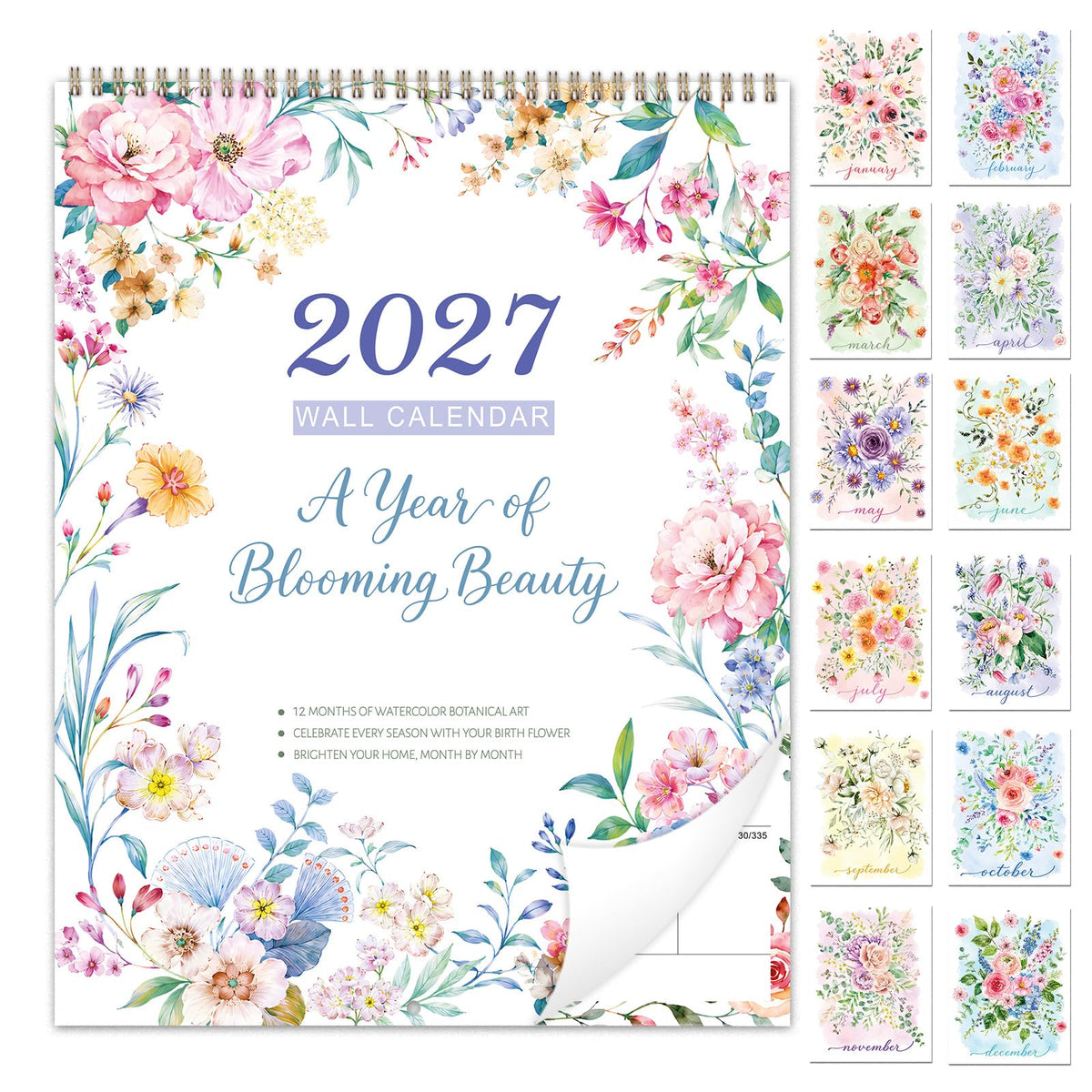 2027 Calendar - 2027 Wall Calendar, Jan. 2027 - Dec. 2027, 12" x 17"