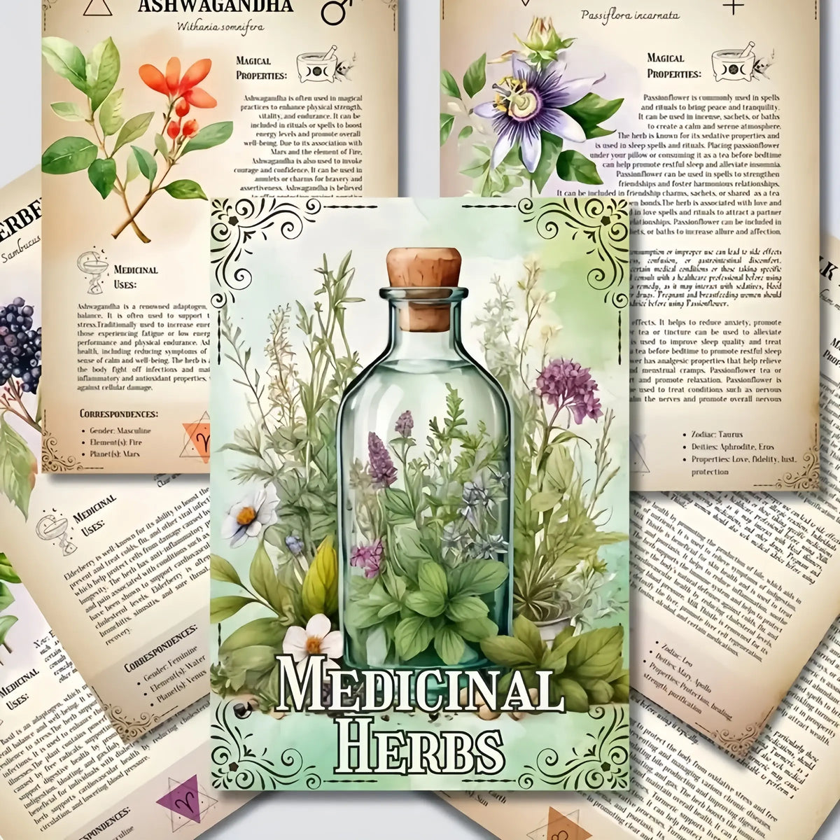Medicinal Herbs Handbook, Natural Healing Guide, Wellness Journal, Planner Notebook with Colorful Plant Illustrations, Elegant Cover Art & Detailed Graphics